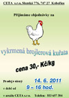 Prodej vykrmených brojlerových kuřat