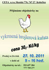 Prodej vykrmených brojlerů