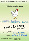 Prodej vykrmených brojlerů