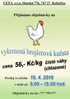 Prodej vykrmených brojlerů