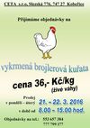 Prodej vykrmených brojlerů